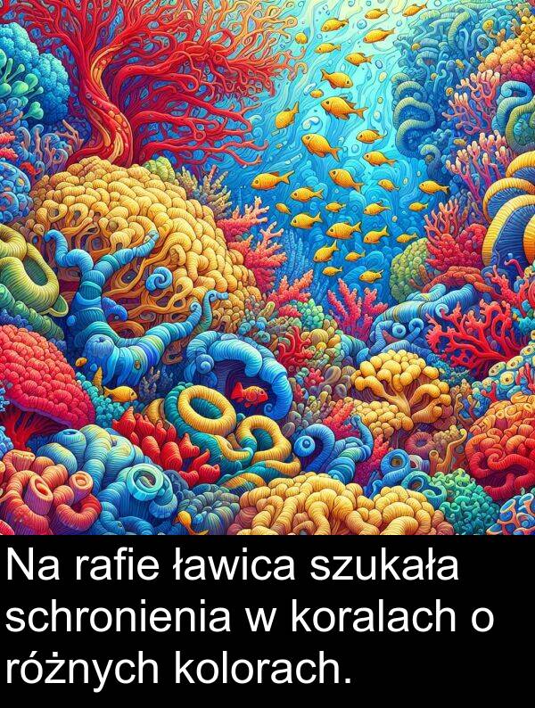 ławica: Na rafie ławica szukała schronienia w koralach o różnych kolorach.