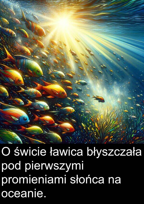 pierwszymi: O świcie ławica błyszczała pod pierwszymi promieniami słońca na oceanie.