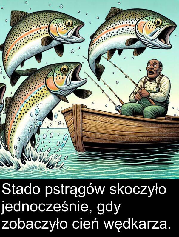 zobaczyło: Stado pstrągów skoczyło jednocześnie, gdy zobaczyło cień wędkarza.