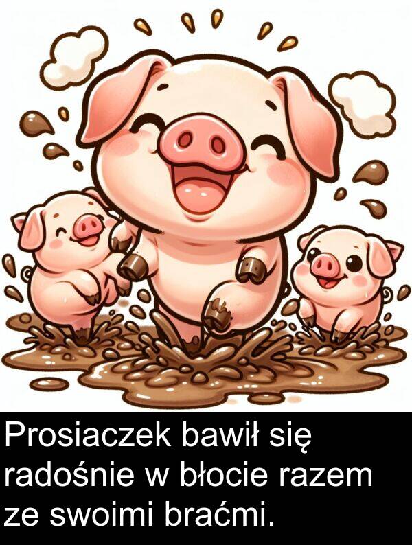 bawił: Prosiaczek bawił się radośnie w błocie razem ze swoimi braćmi.