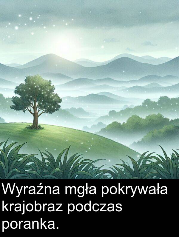 mgła: Wyraźna mgła pokrywała krajobraz podczas poranka.
