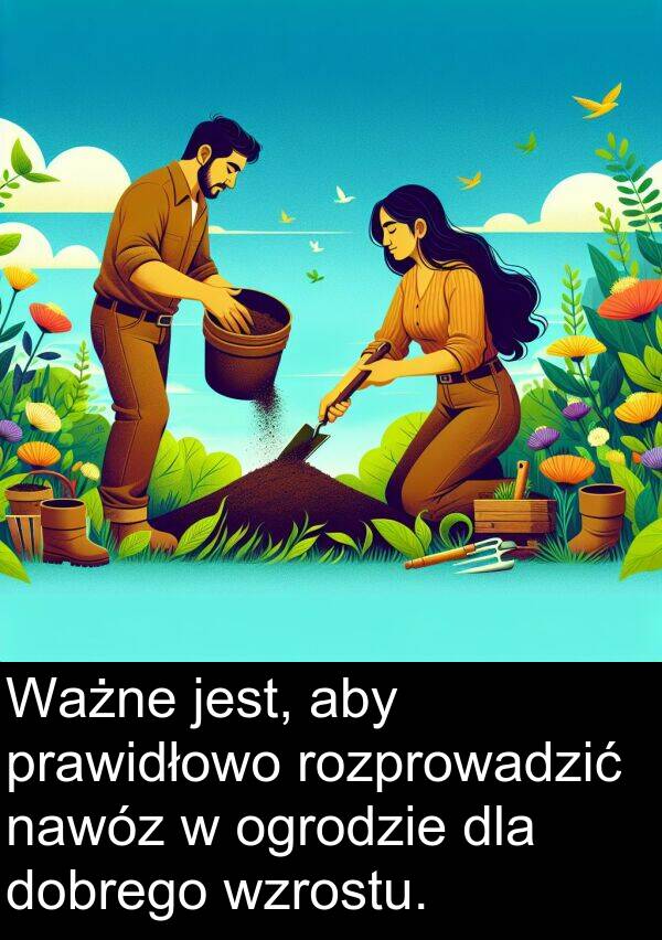 prawidłowo: Ważne jest, aby prawidłowo rozprowadzić nawóz w ogrodzie dla dobrego wzrostu.