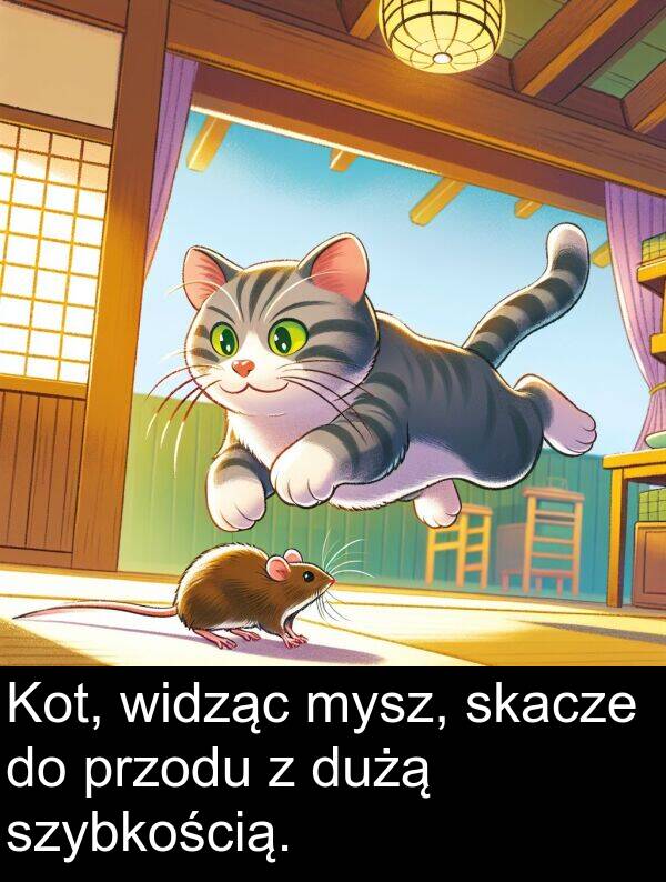 widząc: Kot, widząc mysz, skacze do przodu z dużą szybkością.