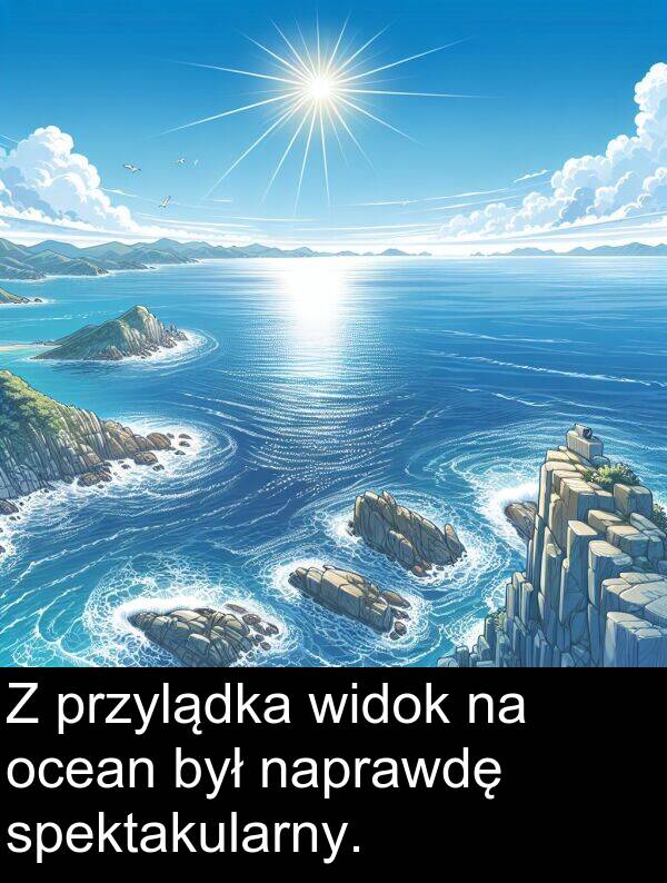 przylądka: Z przylądka widok na ocean był naprawdę spektakularny.