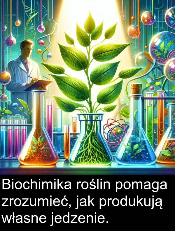 produkują: Biochimika roślin pomaga zrozumieć, jak produkują własne jedzenie.