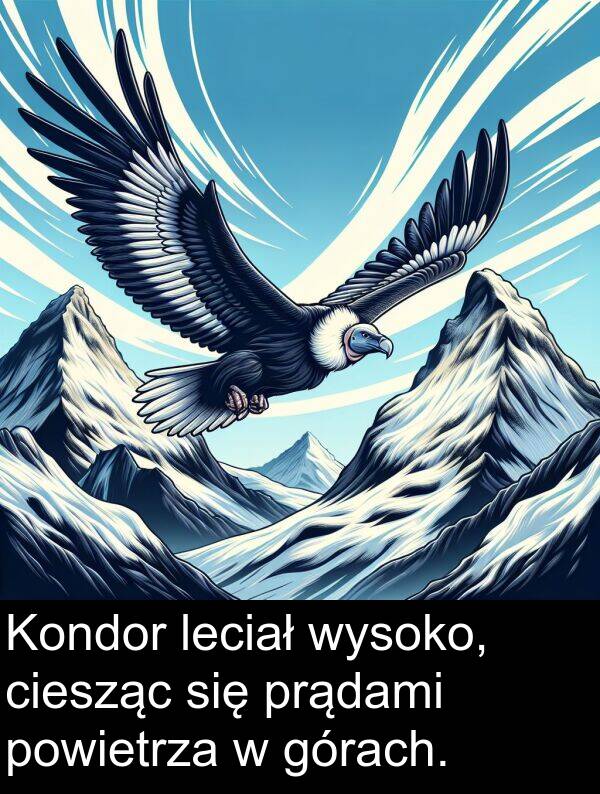 powietrza: Kondor leciał wysoko, ciesząc się prądami powietrza w górach.