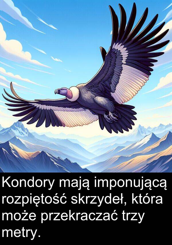 przekraczać: Kondory mają imponującą rozpiętość skrzydeł, która może przekraczać trzy metry.