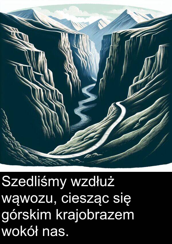 wąwozu: Szedliśmy wzdłuż wąwozu, ciesząc się górskim krajobrazem wokół nas.