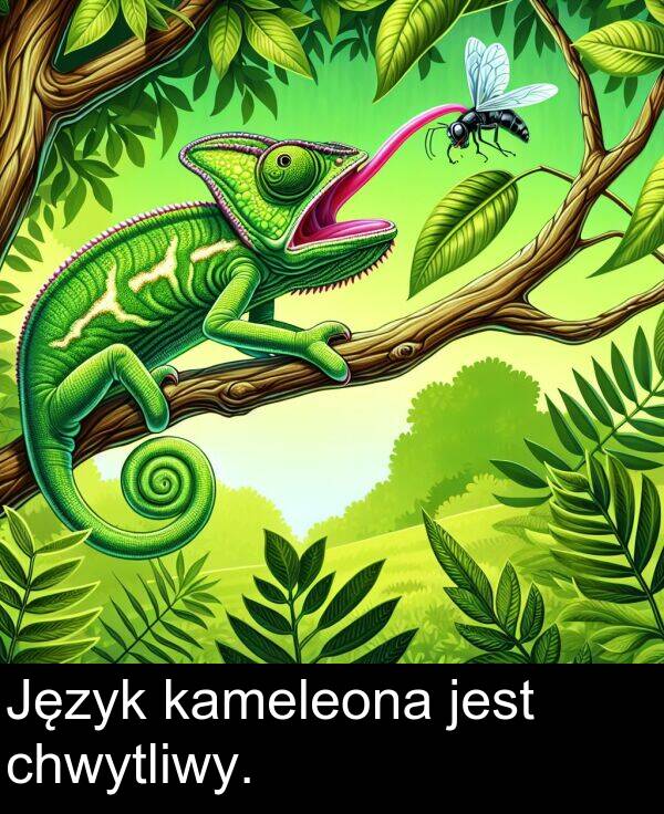 kameleona: Język kameleona jest chwytliwy.