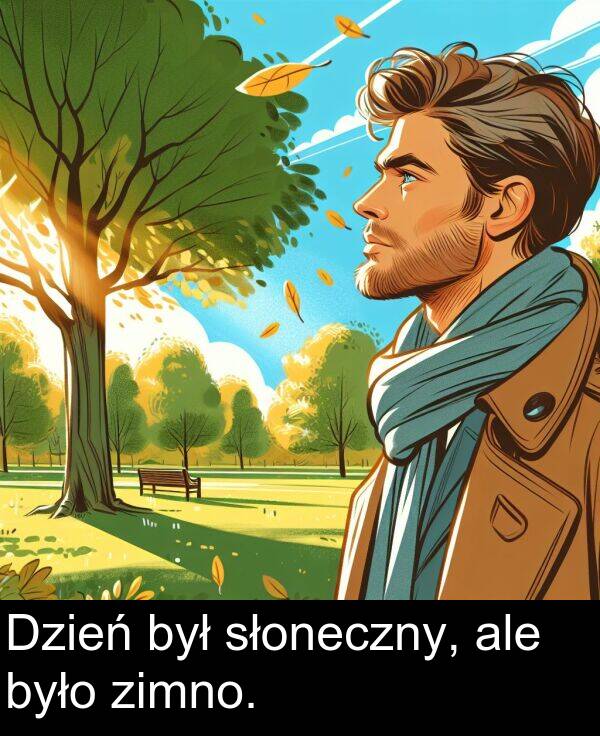 zimno: Dzień był słoneczny, ale było zimno.
