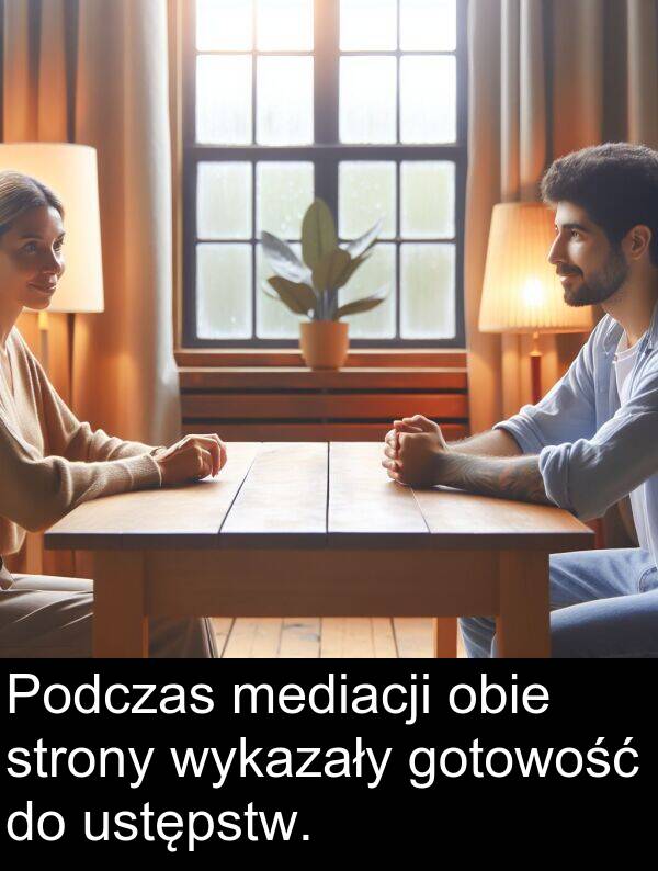 wykazały: Podczas mediacji obie strony wykazały gotowość do ustępstw.