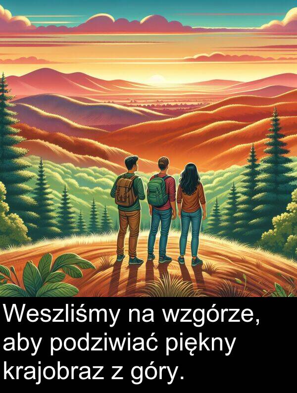 góry: Weszliśmy na wzgórze, aby podziwiać piękny krajobraz z góry.