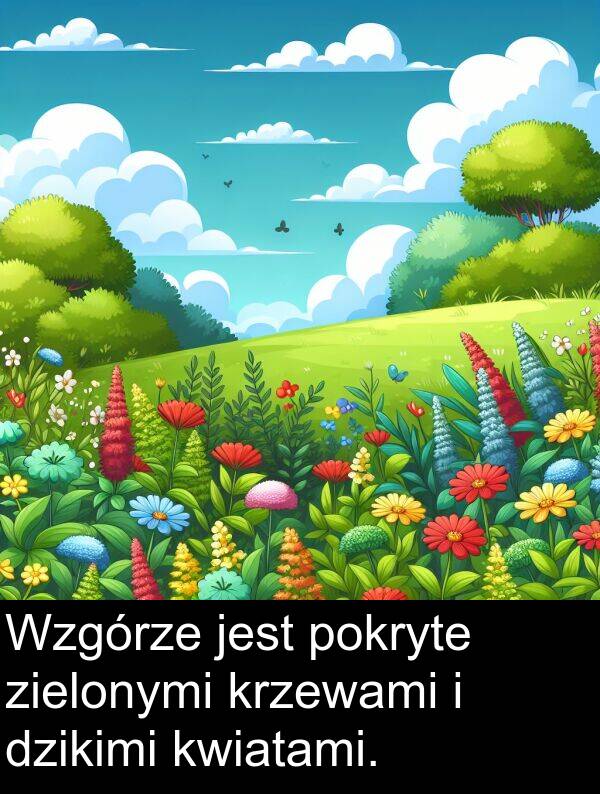 zielonymi: Wzgórze jest pokryte zielonymi krzewami i dzikimi kwiatami.