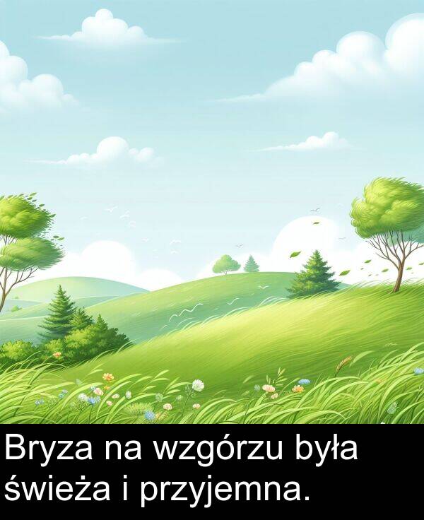 przyjemna: Bryza na wzgórzu była świeża i przyjemna.