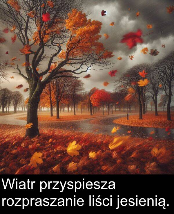 przyspiesza: Wiatr przyspiesza rozpraszanie liści jesienią.