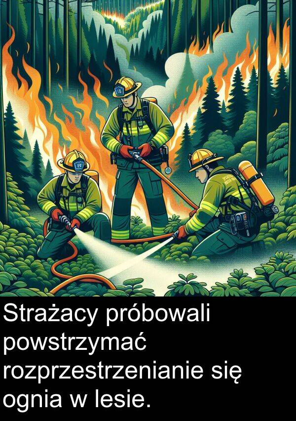 próbowali: Strażacy próbowali powstrzymać rozprzestrzenianie się ognia w lesie.
