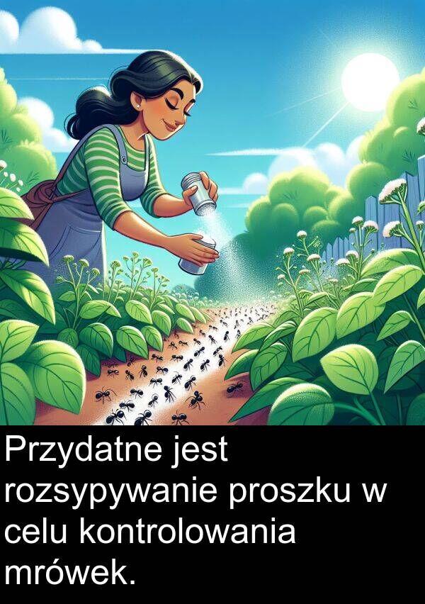 proszku: Przydatne jest rozsypywanie proszku w celu kontrolowania mrówek.