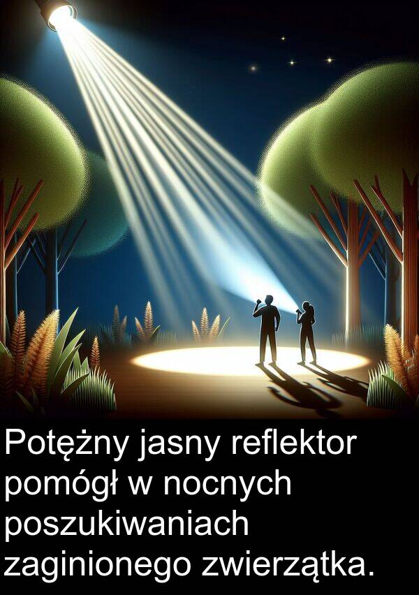zwierzątka: Potężny jasny reflektor pomógł w nocnych poszukiwaniach zaginionego zwierzątka.