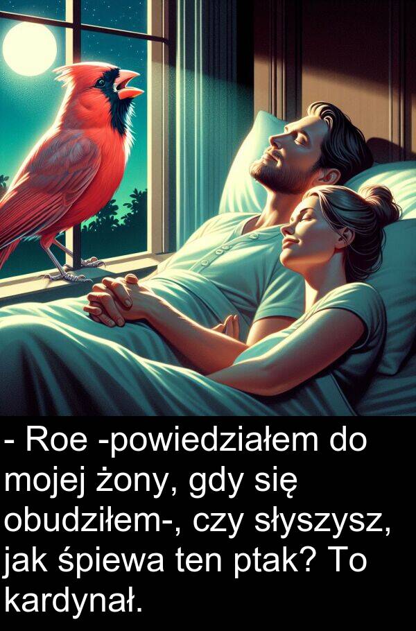 żony: - Roe -powiedziałem do mojej żony, gdy się obudziłem-, czy słyszysz, jak śpiewa ten ptak? To kardynał.
