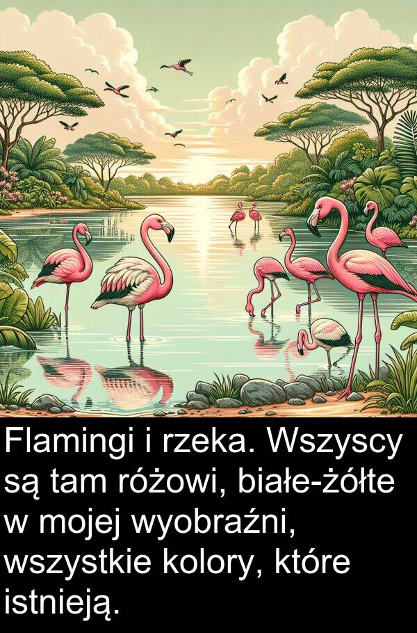 wyobraźni: Flamingi i rzeka. Wszyscy są tam różowi, białe-żółte w mojej wyobraźni, wszystkie kolory, które istnieją.