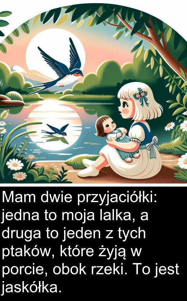 ptaków: Mam dwie przyjaciółki: jedna to moja lalka, a druga to jeden z tych ptaków, które żyją w porcie, obok rzeki. To jest jaskółka.
