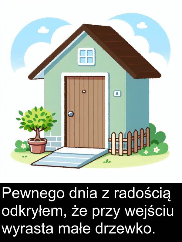 przy: Pewnego dnia z radością odkryłem, że przy wejściu wyrasta małe drzewko.