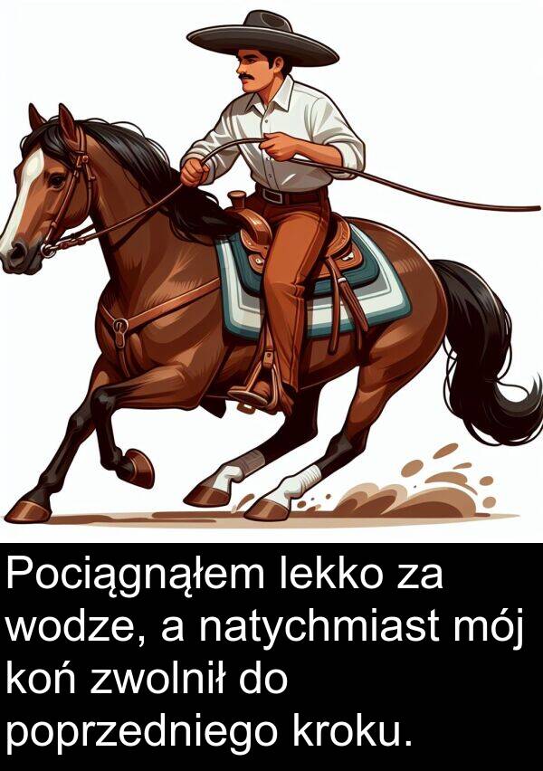 zwolnił: Pociągnąłem lekko za wodze, a natychmiast mój koń zwolnił do poprzedniego kroku.