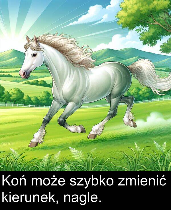 zmienić: Koń może szybko zmienić kierunek, nagle.