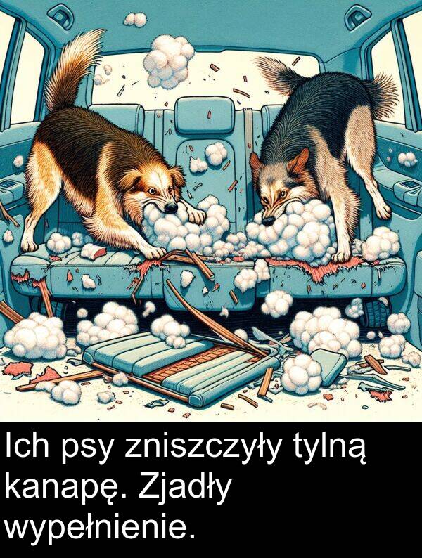 zniszczyły: Ich psy zniszczyły tylną kanapę. Zjadły wypełnienie.