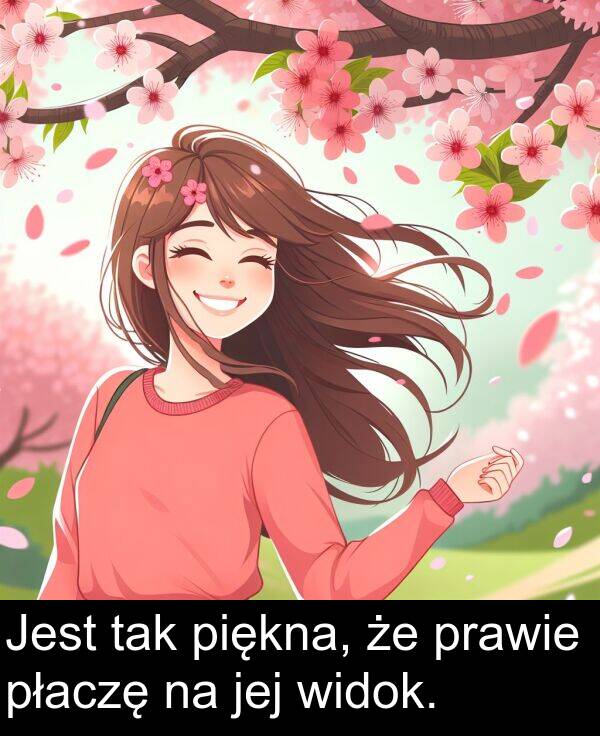 piękna: Jest tak piękna, że prawie płaczę na jej widok.