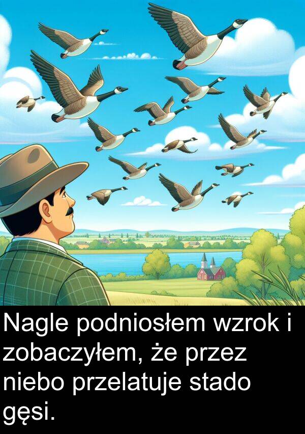 przelatuje: Nagle podniosłem wzrok i zobaczyłem, że przez niebo przelatuje stado gęsi.