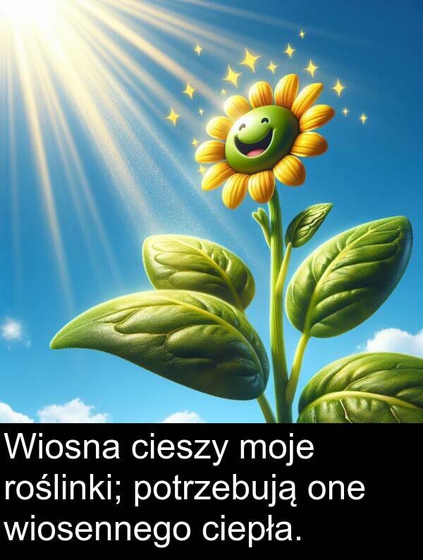 moje: Wiosna cieszy moje roślinki; potrzebują one wiosennego ciepła.