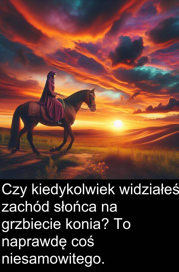 coś: Czy kiedykolwiek widziałeś zachód słońca na grzbiecie konia? To naprawdę coś niesamowitego.
