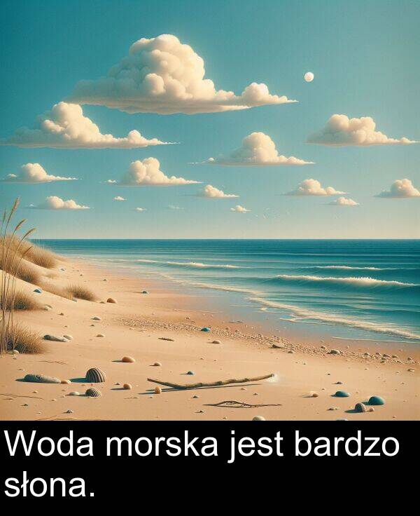 bardzo: Woda morska jest bardzo słona.