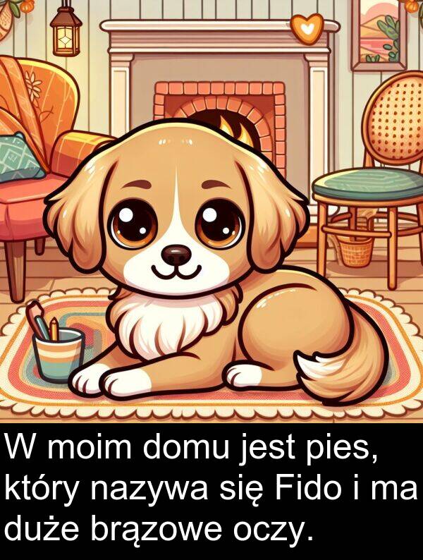 pies: W moim domu jest pies, który nazywa się Fido i ma duże brązowe oczy.