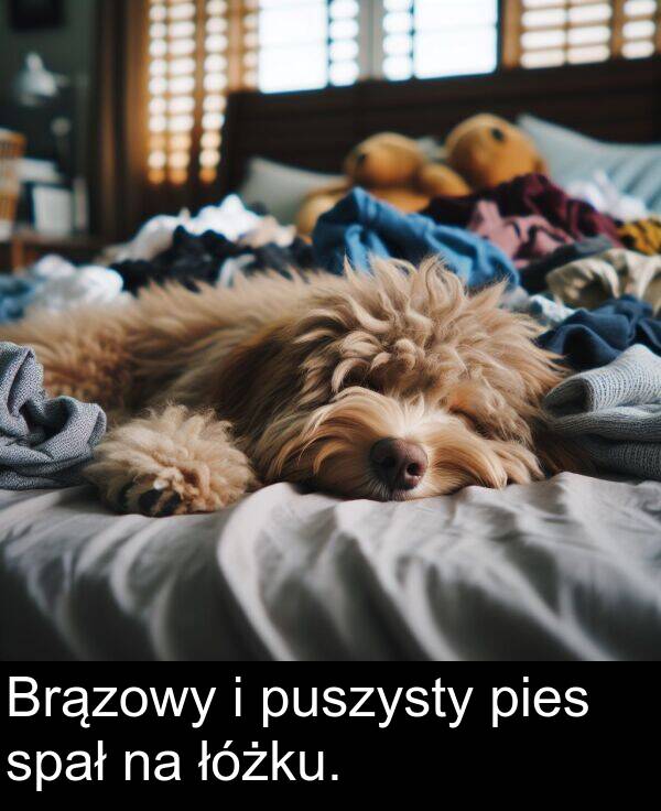 pies: Brązowy i puszysty pies spał na łóżku.