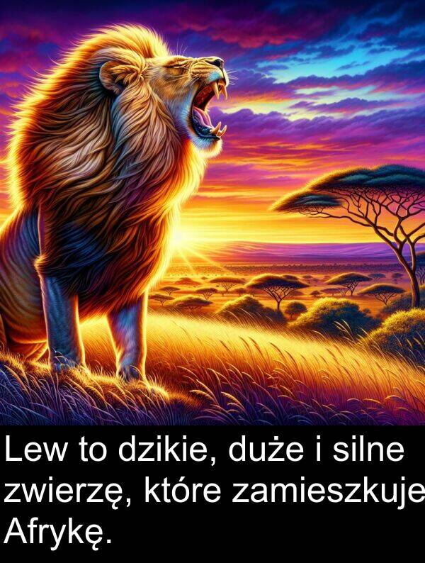 zwierzę: Lew to dzikie, duże i silne zwierzę, które zamieszkuje Afrykę.