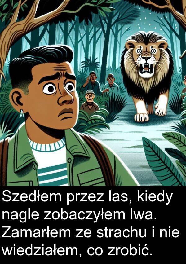 zrobić: Szedłem przez las, kiedy nagle zobaczyłem lwa. Zamarłem ze strachu i nie wiedziałem, co zrobić.