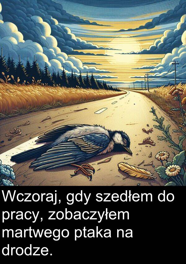 pracy: Wczoraj, gdy szedłem do pracy, zobaczyłem martwego ptaka na drodze.