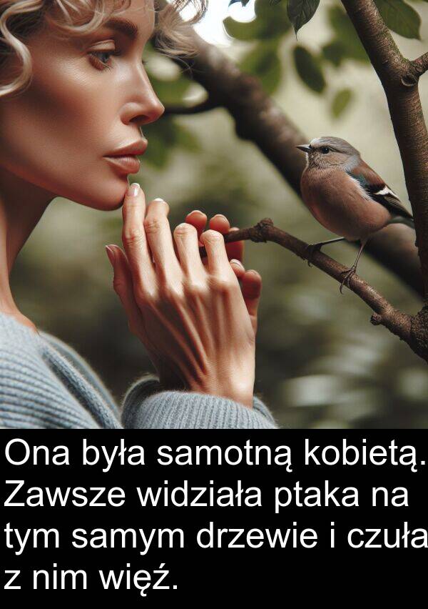 ptaka: Ona była samotną kobietą. Zawsze widziała ptaka na tym samym drzewie i czuła z nim więź.