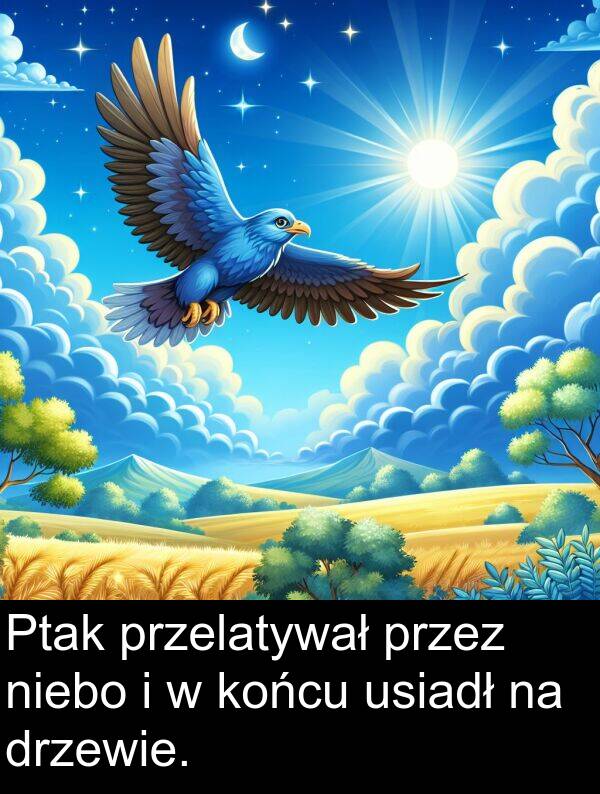 przelatywał: Ptak przelatywał przez niebo i w końcu usiadł na drzewie.