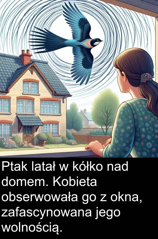 zafascynowana: Ptak latał w kółko nad domem. Kobieta obserwowała go z okna, zafascynowana jego wolnością.