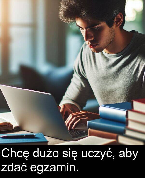zdać: Chcę dużo się uczyć, aby zdać egzamin.