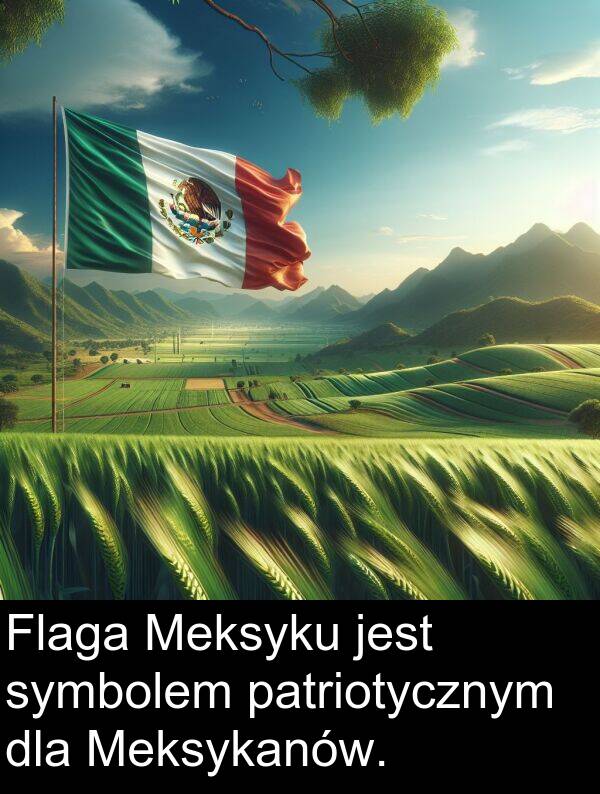 patriotycznym: Flaga Meksyku jest symbolem patriotycznym dla Meksykanów.