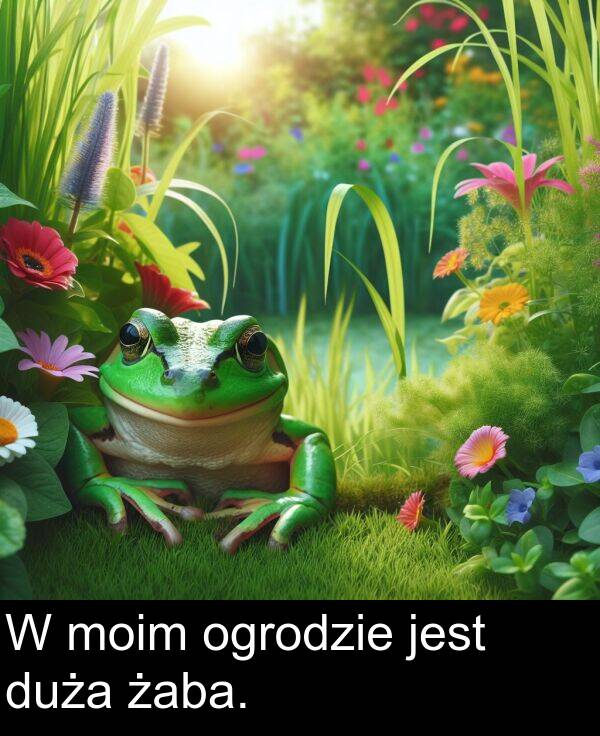 żaba: W moim ogrodzie jest duża żaba.
