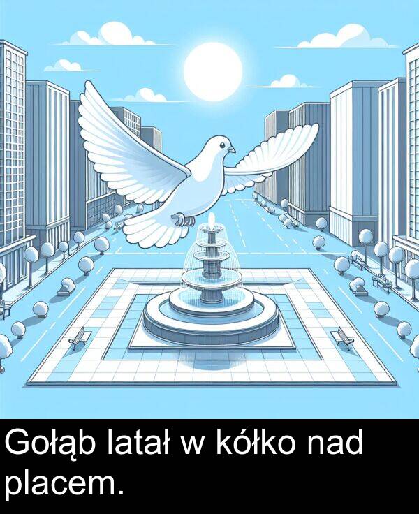 nad: Gołąb latał w kółko nad placem.