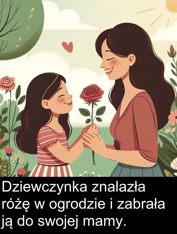 zabrała: Dziewczynka znalazła różę w ogrodzie i zabrała ją do swojej mamy.