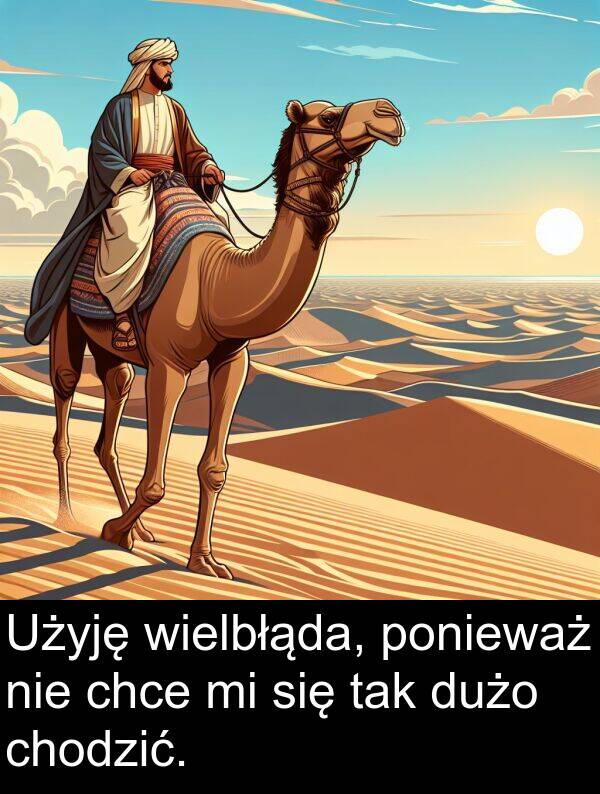 wielbłąda: Użyję wielbłąda, ponieważ nie chce mi się tak dużo chodzić.