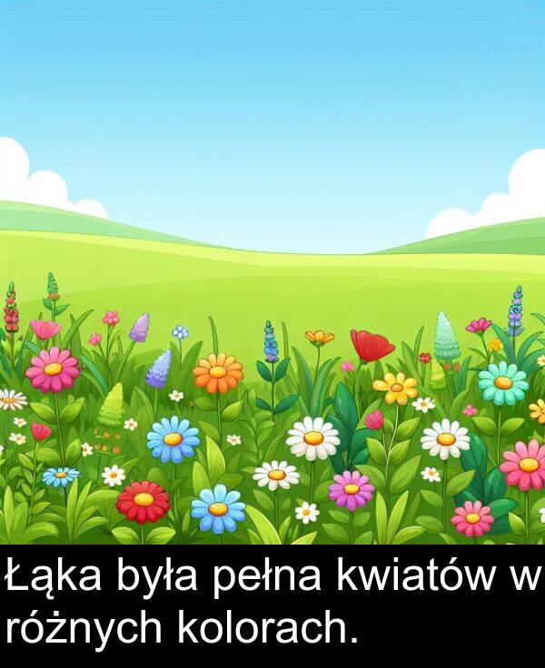 była: Łąka była pełna kwiatów w różnych kolorach.