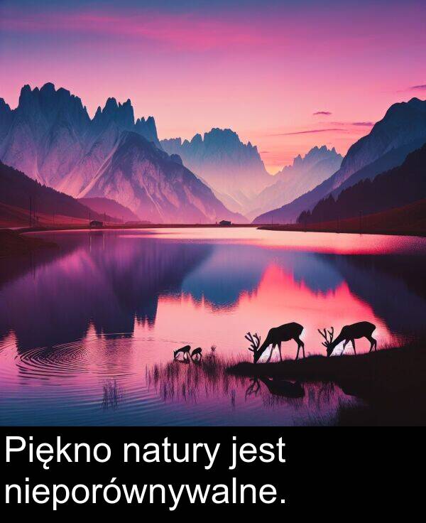nieporównywalne: Piękno natury jest nieporównywalne.